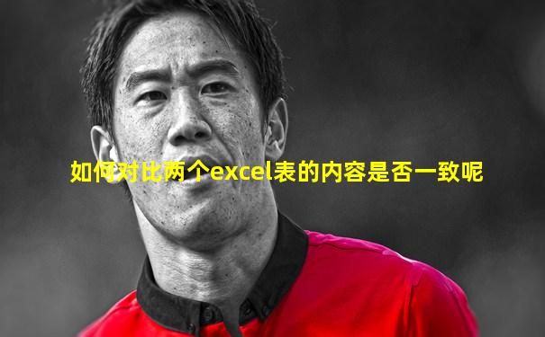 如何对比两个excel表的内容是否一致呢