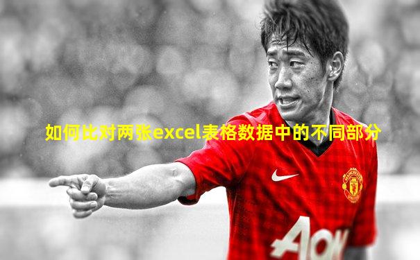 如何比对两张excel表格数据中的不同部分