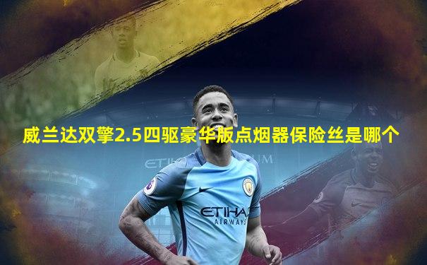 威兰达双擎2.5四驱豪华版点烟器保险丝是哪个