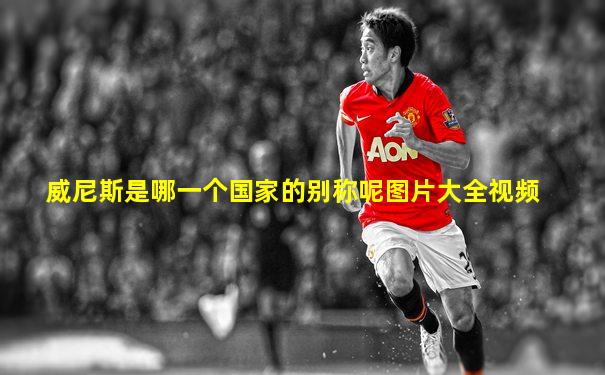 威尼斯是哪一个国家的别称呢图片大全视频