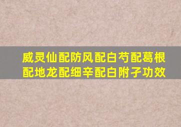 威灵仙配防风配白芍配葛根配地龙配细辛配白附孑功效