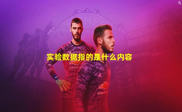 实验数据指的是什么内容