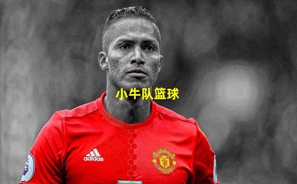 小牛队篮球