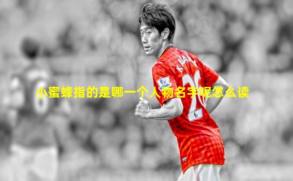 小蜜蜂指的是哪一个人物名字呢怎么读