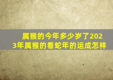属猴的今年多少岁了2023年属猴的看蛇年的运成怎样