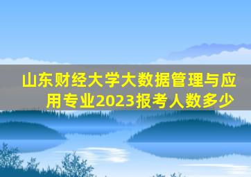 山东财经大学大数据管理与应用专业2023报考人数多少