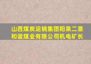 山西煤炭运销集团阳泉二景和谐煤业有限公司机电矿长
