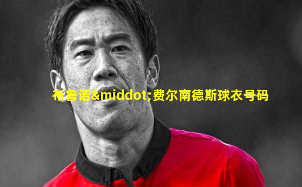 布鲁诺·费尔南德斯球衣号码