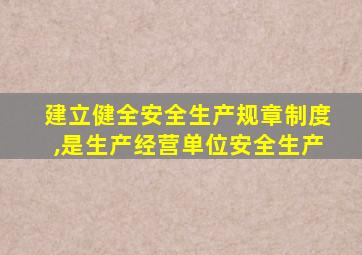建立健全安全生产规章制度,是生产经营单位安全生产