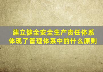 建立健全安全生产责任体系体现了管理体系中的什么原则