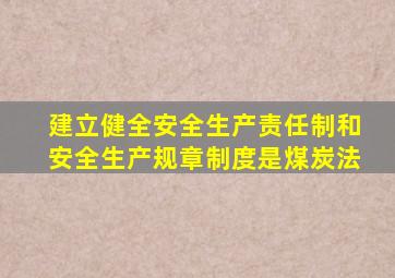 建立健全安全生产责任制和安全生产规章制度是煤炭法