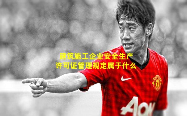 建筑施工企业安全生产许可证管理规定属于什么