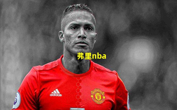 弗里nba