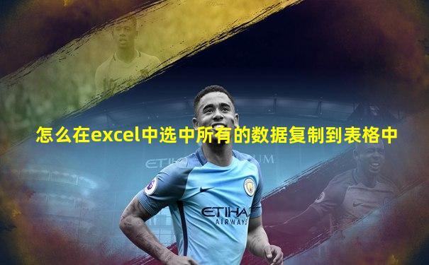 怎么在excel中选中所有的数据复制到表格中
