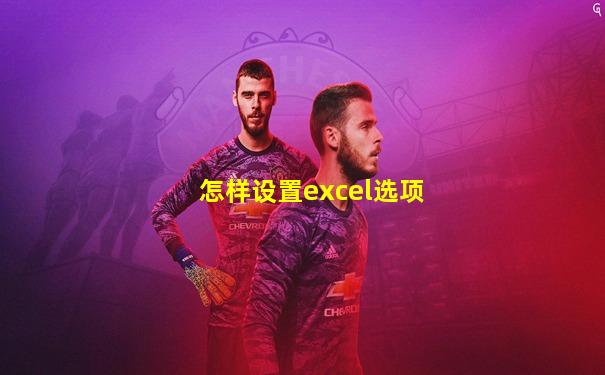 怎样设置excel选项