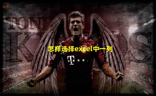 怎样选择excel中一列