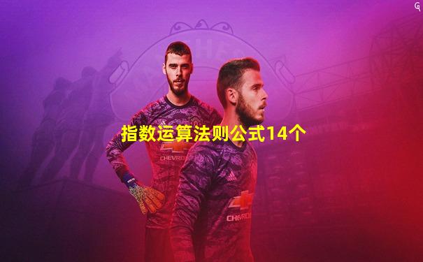 指数运算法则公式14个