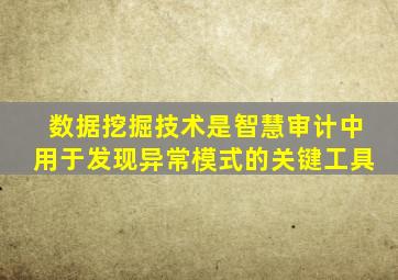 数据挖掘技术是智慧审计中用于发现异常模式的关键工具