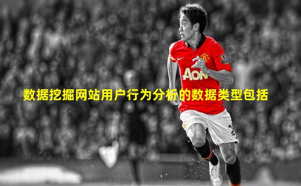 数据挖掘网站用户行为分析的数据类型包括