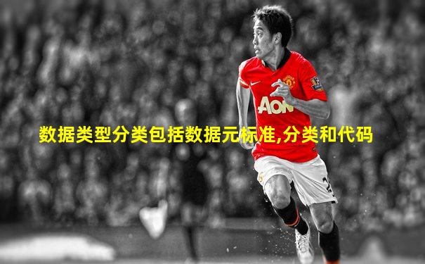 数据类型分类包括数据元标准,分类和代码