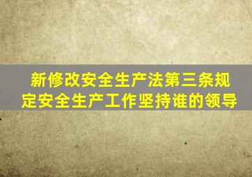 新修改安全生产法第三条规定安全生产工作坚持谁的领导