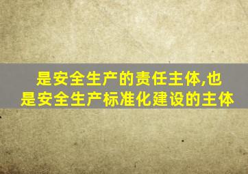 是安全生产的责任主体,也是安全生产标准化建设的主体