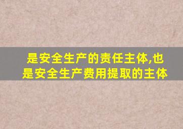 是安全生产的责任主体,也是安全生产费用提取的主体