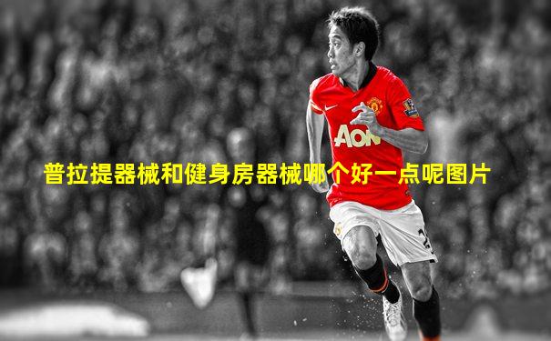 普拉提器械和健身房器械哪个好一点呢图片