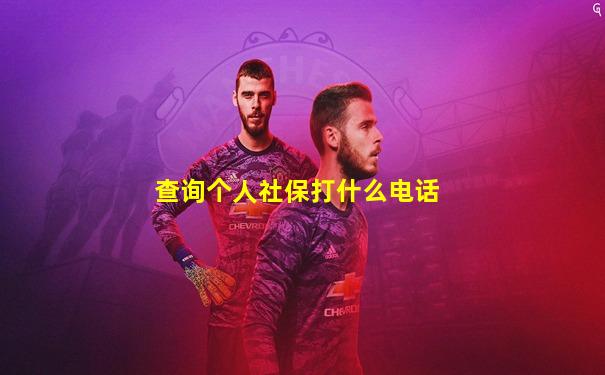 查询个人社保打什么电话