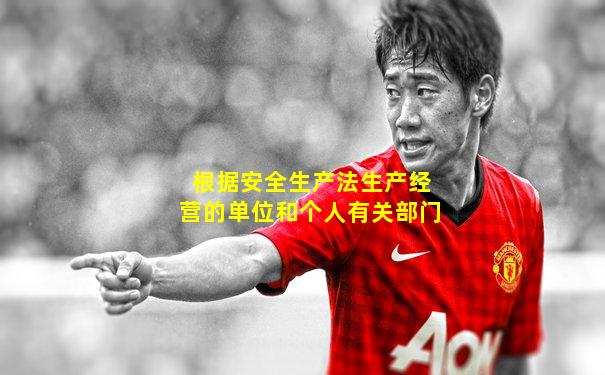 根据安全生产法生产经营的单位和个人有关部门
