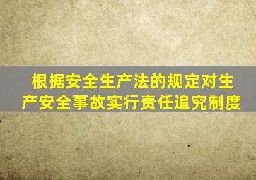 根据安全生产法的规定对生产安全事故实行责任追究制度
