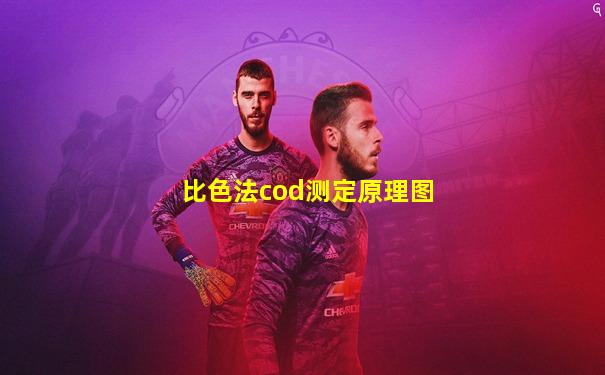 比色法cod测定原理图