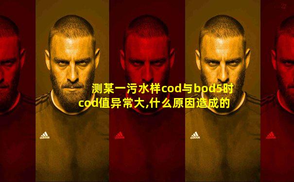 测某一污水样cod与bod5时cod值异常大,什么原因造成的