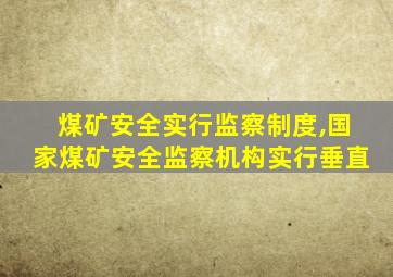 煤矿安全实行监察制度,国家煤矿安全监察机构实行垂直
