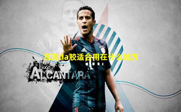 瓦克da胶适合用在什么地方