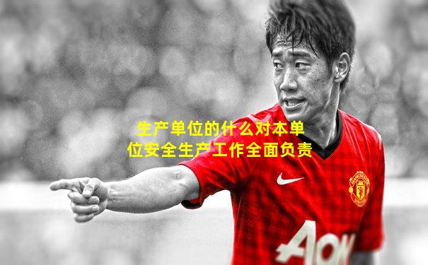 生产单位的什么对本单位安全生产工作全面负责