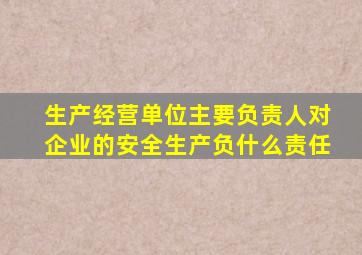 生产经营单位主要负责人对企业的安全生产负什么责任