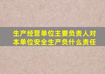生产经营单位主要负责人对本单位安全生产负什么责任