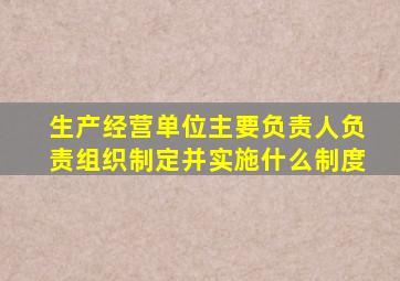 生产经营单位主要负责人负责组织制定并实施什么制度