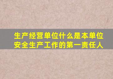 生产经营单位什么是本单位安全生产工作的第一责任人