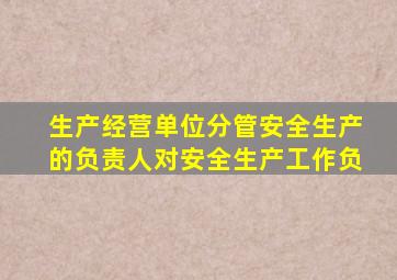 生产经营单位分管安全生产的负责人对安全生产工作负