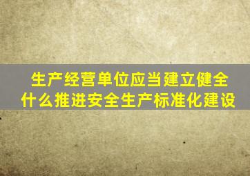 生产经营单位应当建立健全什么推进安全生产标准化建设