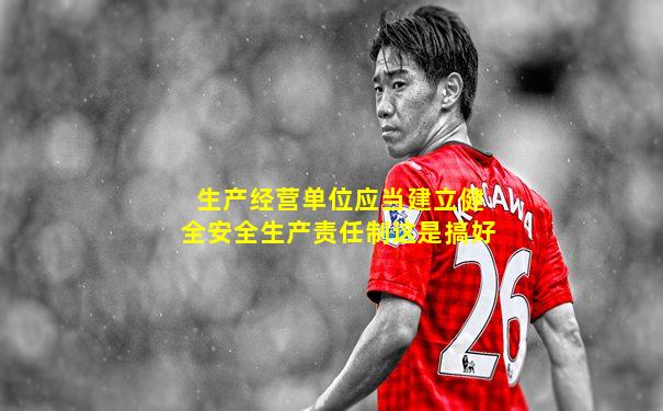 生产经营单位应当建立健全安全生产责任制这是搞好