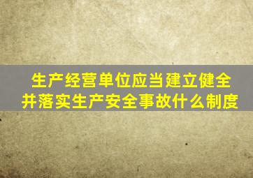 生产经营单位应当建立健全并落实生产安全事故什么制度