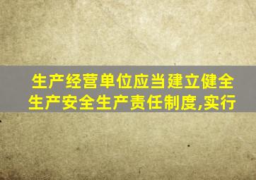 生产经营单位应当建立健全生产安全生产责任制度,实行