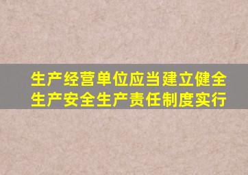 生产经营单位应当建立健全生产安全生产责任制度实行
