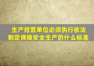 生产经营单位必须执行依法制定保障安全生产的什么标准