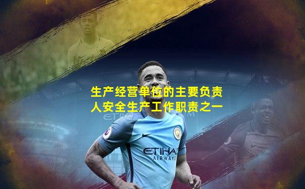 生产经营单位的主要负责人安全生产工作职责之一