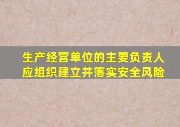 生产经营单位的主要负责人应组织建立并落实安全风险