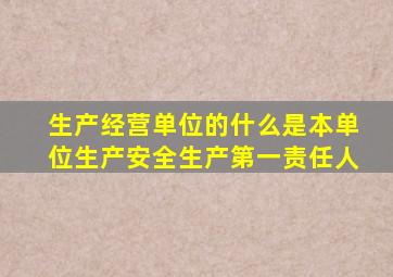 生产经营单位的什么是本单位生产安全生产第一责任人